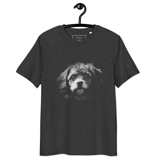 Süßer Cavapo-Look – nachhaltig, bequem & voller Herz