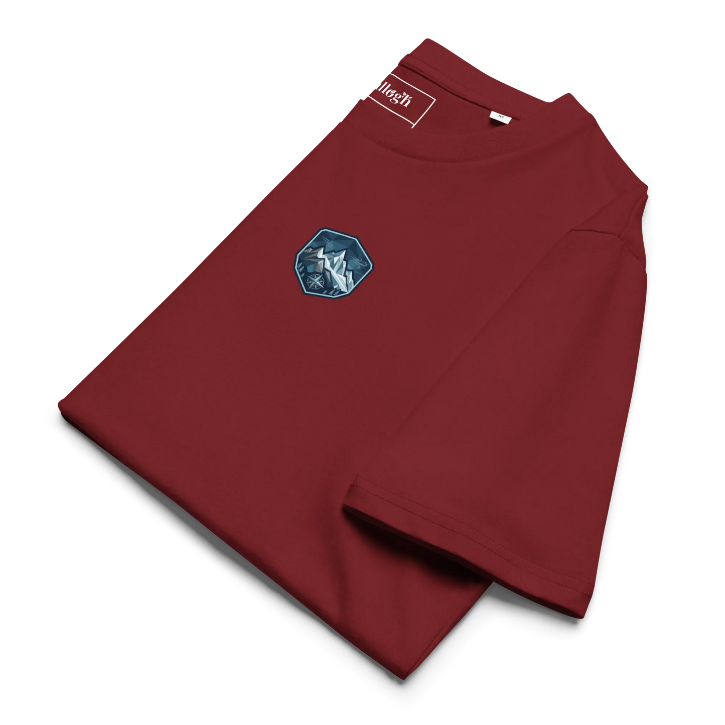 Paragliding Bio T-Shirt – Paragliding Peak