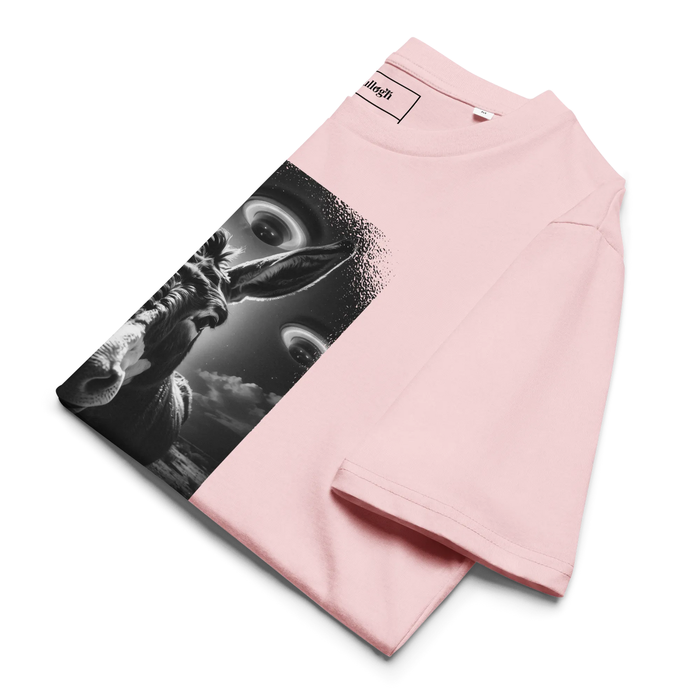 Esel und Raumschiff – T-Shirt aus Bio Baumwolle
